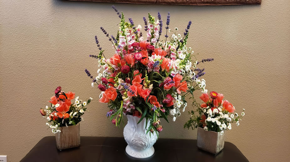 Orange Godetia Lavender White Snap Dragons Red Strawflower Feverfew Double White